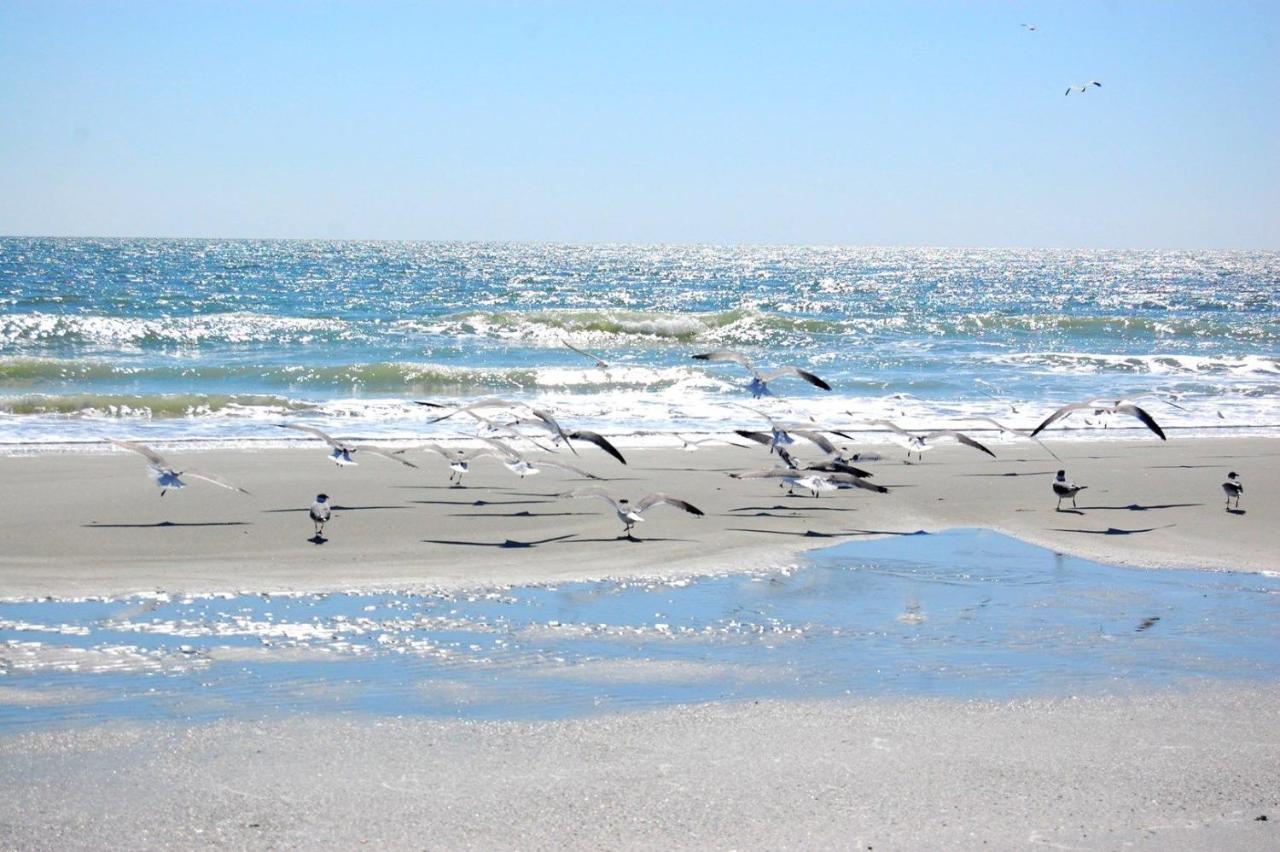 דירות מירטל ביץ' Mariners Cove 227 C מראה חיצוני תמונה